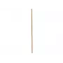 EUROPALMS Cana de Bambu, Ø 3 cm, comprimento 200 cm 83313200