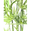 EUROPALMS Planta de papiro artificial, 76 cm, em vaso preto 82600138