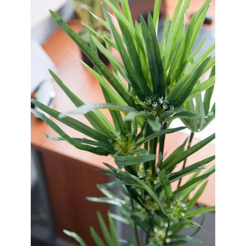 EUROPALMS Planta de papiro artificial, 76 cm, em vaso preto 82600138