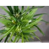 EUROPALMS Planta de papiro artificial, 76 cm, em vaso preto 82600138