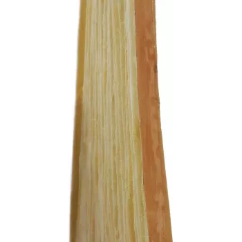 EUROPALMS Painel de parede de bambu 100x100cm Placa decorativa natural 83313220