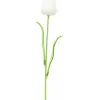 EUROPALMS Tulipa de cristal flor artificial, branca, 61cm, pack de 12 (82600204)