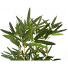 EUROPALMS Bambu artificial em taça decorativa, 150cm 82509262