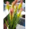 EUROPALMS Erva-das-pampas, artificial, rosa, 90cm 82505865