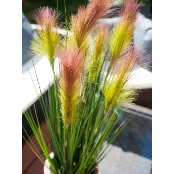 EUROPALMS Erva-das-pampas, artificial, rosa, 90cm 82505865