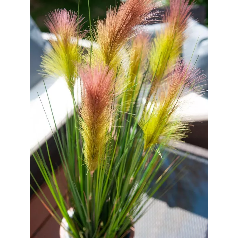 EUROPALMS Erva-das-pampas, artificial, rosa, 90cm 82505865