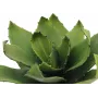 EUROPALMS Planta de agave artificial, EVA, verde, 35 cm 82530576