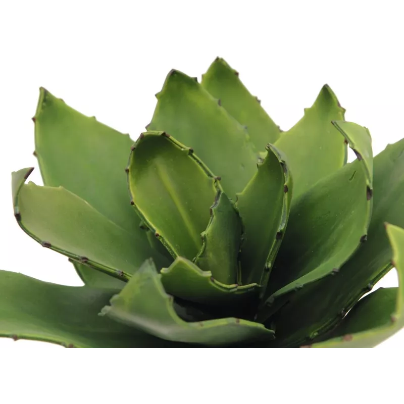EUROPALMS Planta de agave artificial, EVA, verde, 35 cm 82530576
