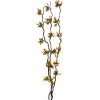 EUROPALMS Ramos de murta com LEDs, 180 cm 83330312