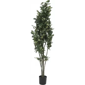 EUROPALMS Planta de cheflera artificial, 120cm, verde 82600157