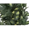 EUROPALMS Planta de cheflera artificial, 120cm, verde 82600157