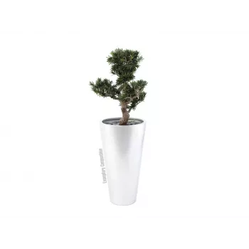 EUROPALMS Leichtsin Elegance-69 figura decorativa prateada brilhante 83011856