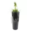 EUROPALMS Leichtsinn Elegance-110 figura decorativa, preto brilhante 83011864