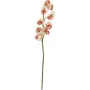 EUROPALMS ramo artificial de cymbidium, creme-rosa, 90cm 82530311