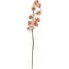 EUROPALMS ramo artificial de cymbidium, creme-rosa, 90cm 82530311