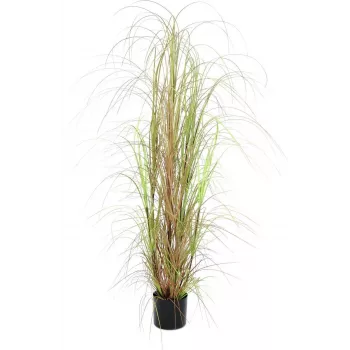 EUROPALMS arbusto de erva artificial, 150cm, verde, decoração de interior 82600127