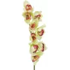 EUROPALMS ramo artificial de orquídea cymbidium, verde, 90cm 82530313