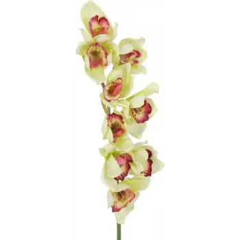 EUROPALMS ramo artificial de orquídea cymbidium, verde, 90cm 82530313