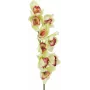 EUROPALMS ramo artificial de orquídea cymbidium, verde, 90cm 82530313