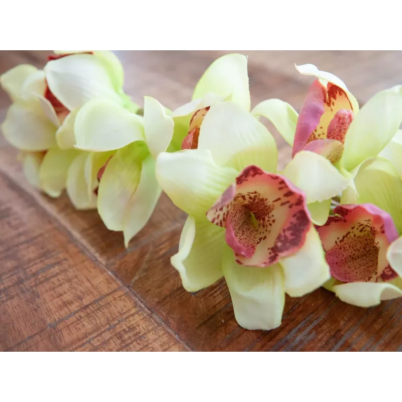 EUROPALMS ramo artificial de orquídea cymbidium, verde, 90cm 82530313