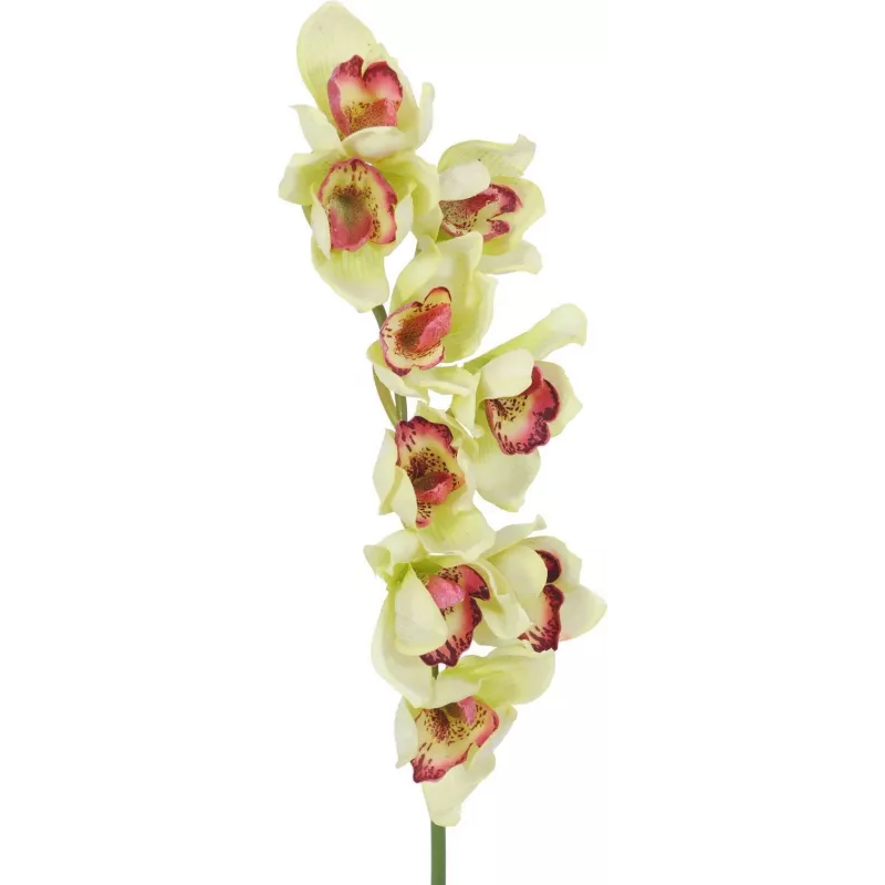 EUROPALMS ramo artificial de orquídea cymbidium, verde, 90cm 82530313