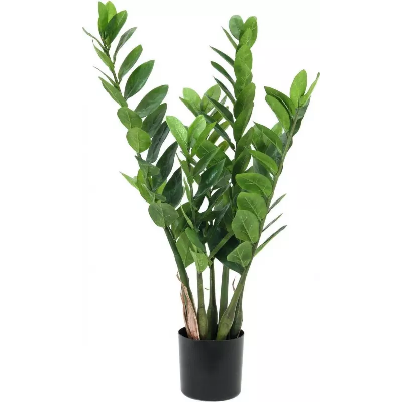 EUROPALMS Zamifolia planta ZZ artificial, 70 cm, vaso preto 82600153