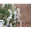 EUROPALMS árvore de chuva dourada artificial, flores brancas, 180cm 82507106