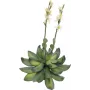 EUROPALMS Rosa de Pedra (EVA) planta artificial, amarelo, 32 cm 82530573
