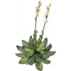 EUROPALMS Rosa de Pedra (EVA) planta artificial, amarelo, 32 cm 82530573