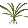 EUROPALMS Folha de orquídea artificial (EVA), verde, 45 cm 82530574