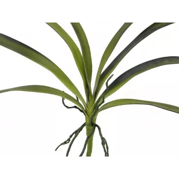 EUROPALMS Folha de orquídea artificial (EVA), verde, 45 cm 82530574