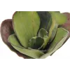 EUROPALMS Nenúfar artificial (EVA), fechado, verde, 45 cm 82530575