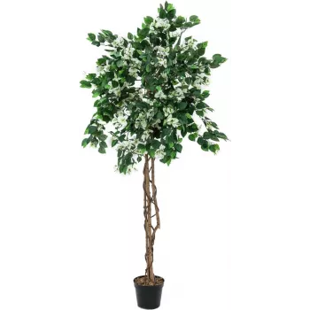 EUROPALMS Planta artificial buganvília, branco, 180 cm 82507086