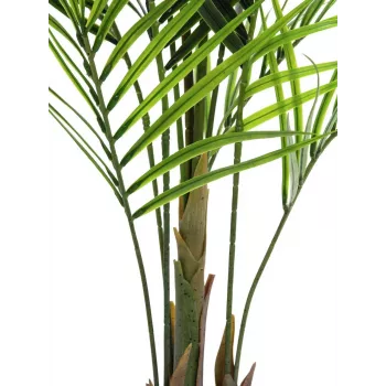 EUROPALMS Planta artificial areca de folhas grandes, 165 cm 82509441