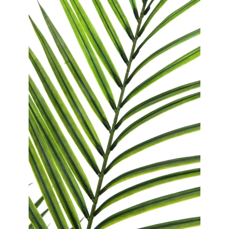 EUROPALMS Planta artificial areca de folhas grandes, 165 cm 82509441