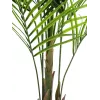 EUROPALMS Planta artificial areca de folhas grandes, 165 cm 82509441