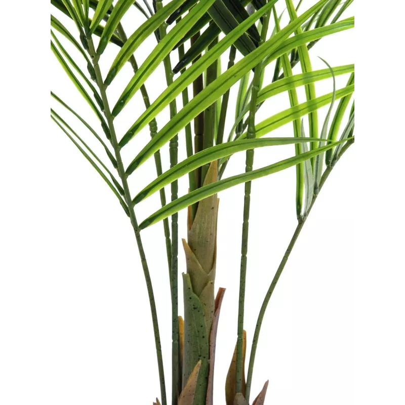 EUROPALMS Planta artificial areca de folhas grandes, 165 cm 82509441