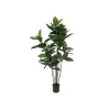 EUROPALMS Planta artificial ficus, 120 cm 82600150
