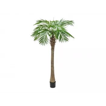 EUROPALMS Palmeira fénix Luxor, planta artificial, 240 cm 82510722