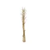 EUROPALMS Ramo de funcho seco, dourado, 160 cm 83502363