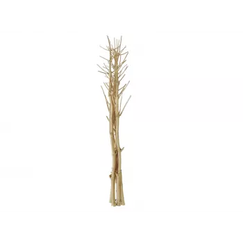 EUROPALMS Ramo de funcho seco, dourado, 160 cm 83502363