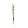 EUROPALMS Ramo de funcho seco, dourado, 160 cm 83502363