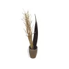 EUROPALMS Ramo de funcho seco, dourado, 160 cm 83502363