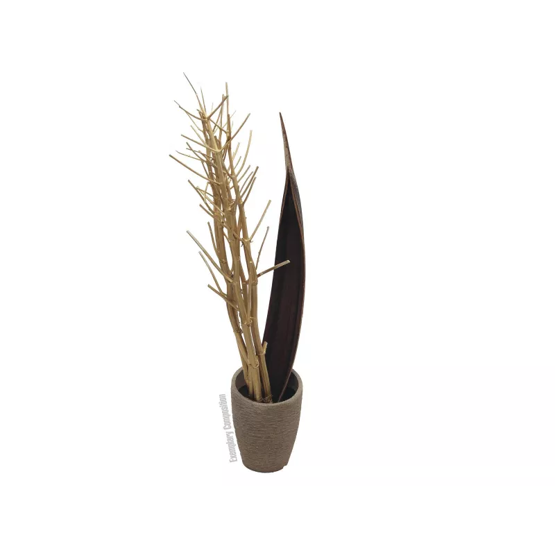 EUROPALMS Ramo de funcho seco, dourado, 160 cm 83502363