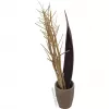 EUROPALMS Ramo de funcho seco, dourado, 160 cm 83502363