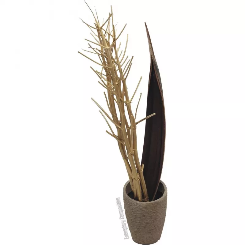 EUROPALMS Ramo de funcho seco, dourado, 160 cm 83502363