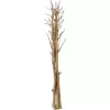 EUROPALMS Ramo de funcho seco, dourado, 160 cm 83502363