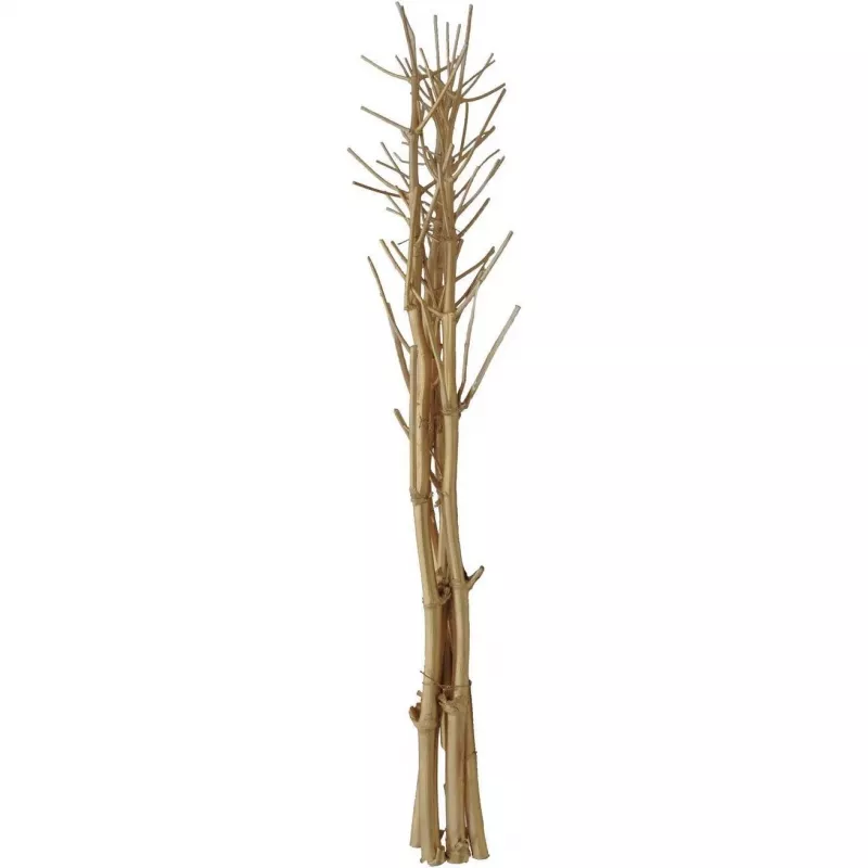 EUROPALMS Ramo de funcho seco, dourado, 160 cm 83502363