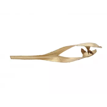 EUROPALMS Cabeça de folha de palmeira seca, dourado, 60 cm 83502362