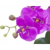 EUROPALMS Arranjo artificial de orquídeas 4, phalaenopsis branca em vaso de cerâmica, 60 cm 82530349